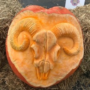 Meet your Posher, Kenneth